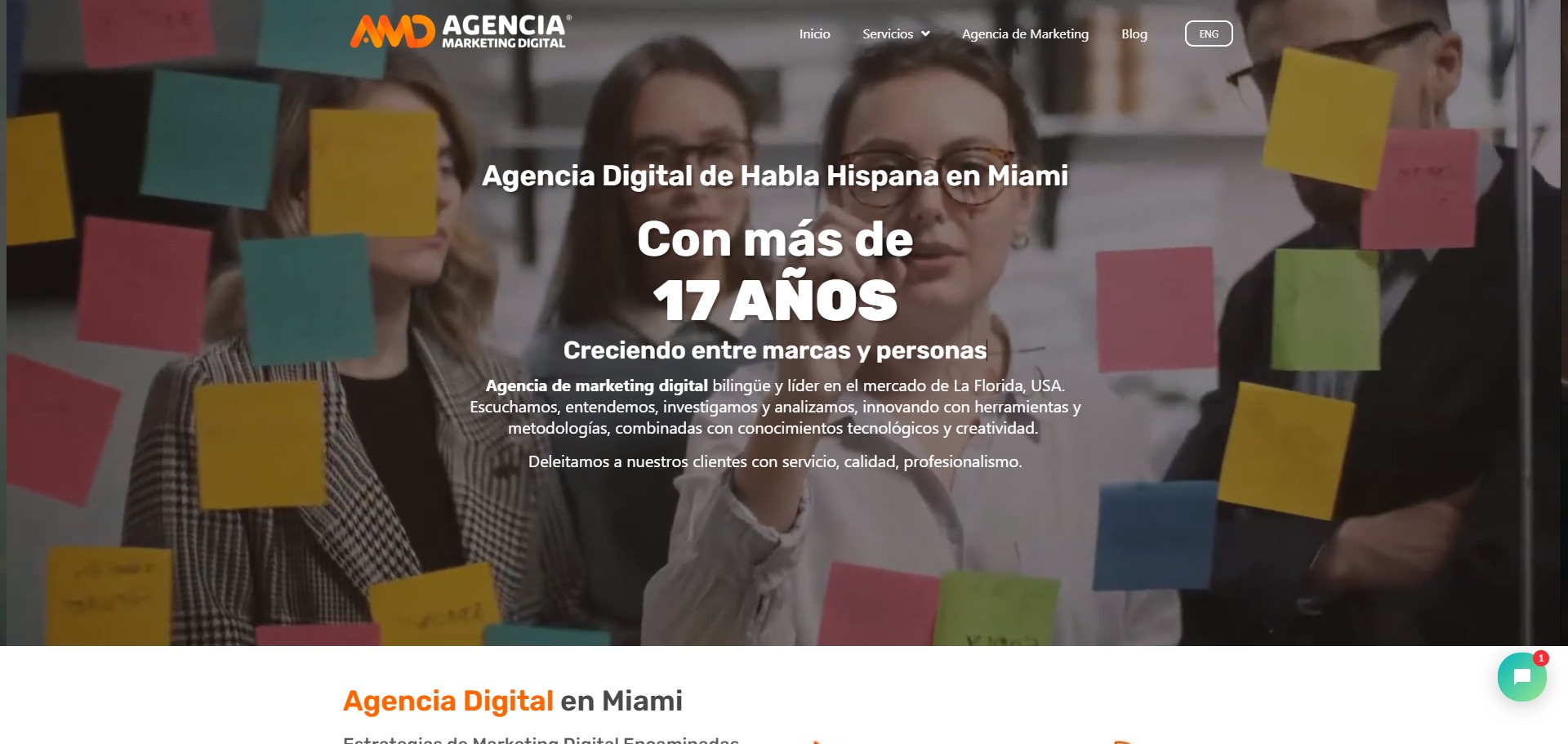 AMD Agencia Marketing Digital