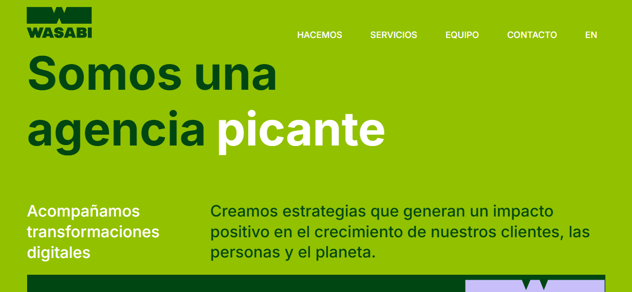 Wasabi Agencia Top 3 Marketing Digital en Uruguay